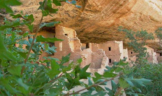 Spruce Tree House. Photo NPS.