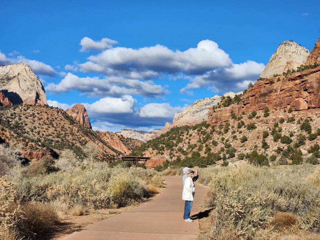 Visitors view wildlife on Pa’rus Trail, December 20, 2023. NPS Image / Jonathan Shafer