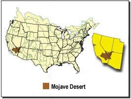 Mojave Desert Map