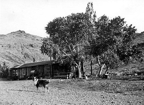 Doc Smith's Aztec Spring cabin as it once appeared.