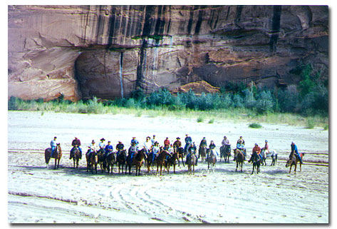 Horses in canyon