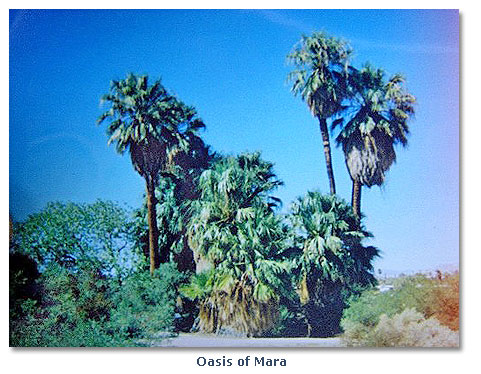 Oasis of Mara