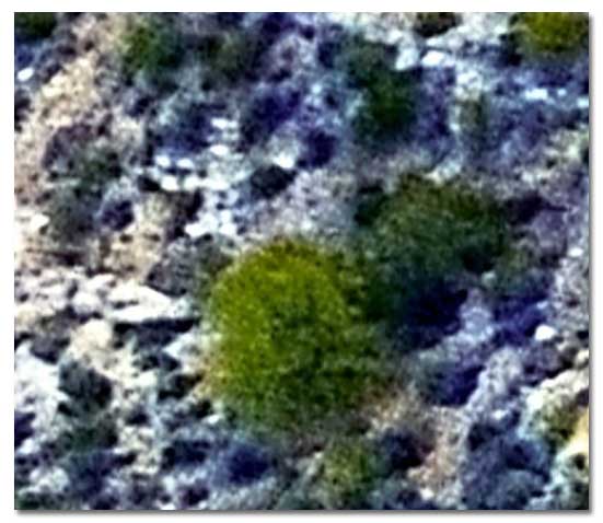 Aerial View of the Cross in the Latin Heart Site