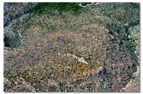 White Arrow & Dagger of Music Canyon