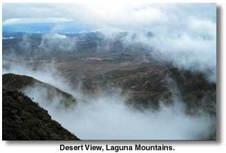 Desert View, Laguna Mountains
