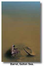 Barrel, Salton Sea
