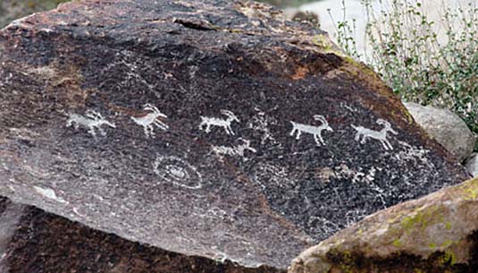 petroglyphs Grapevine Canyon