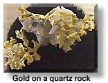 gold on quartz