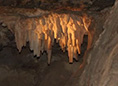 Mitchell Caverns